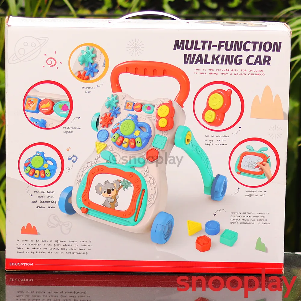 Electronic Multi Functional Activity Walker