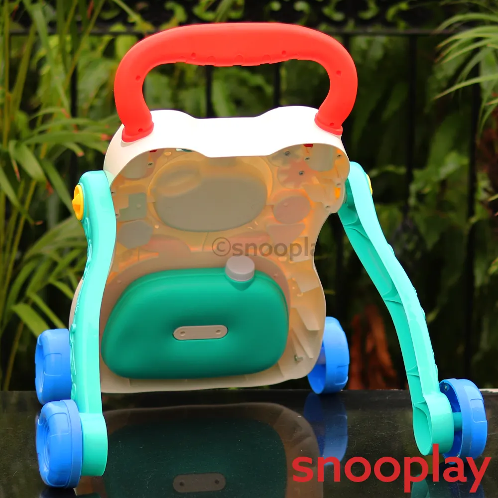 Electronic Multi Functional Activity Walker