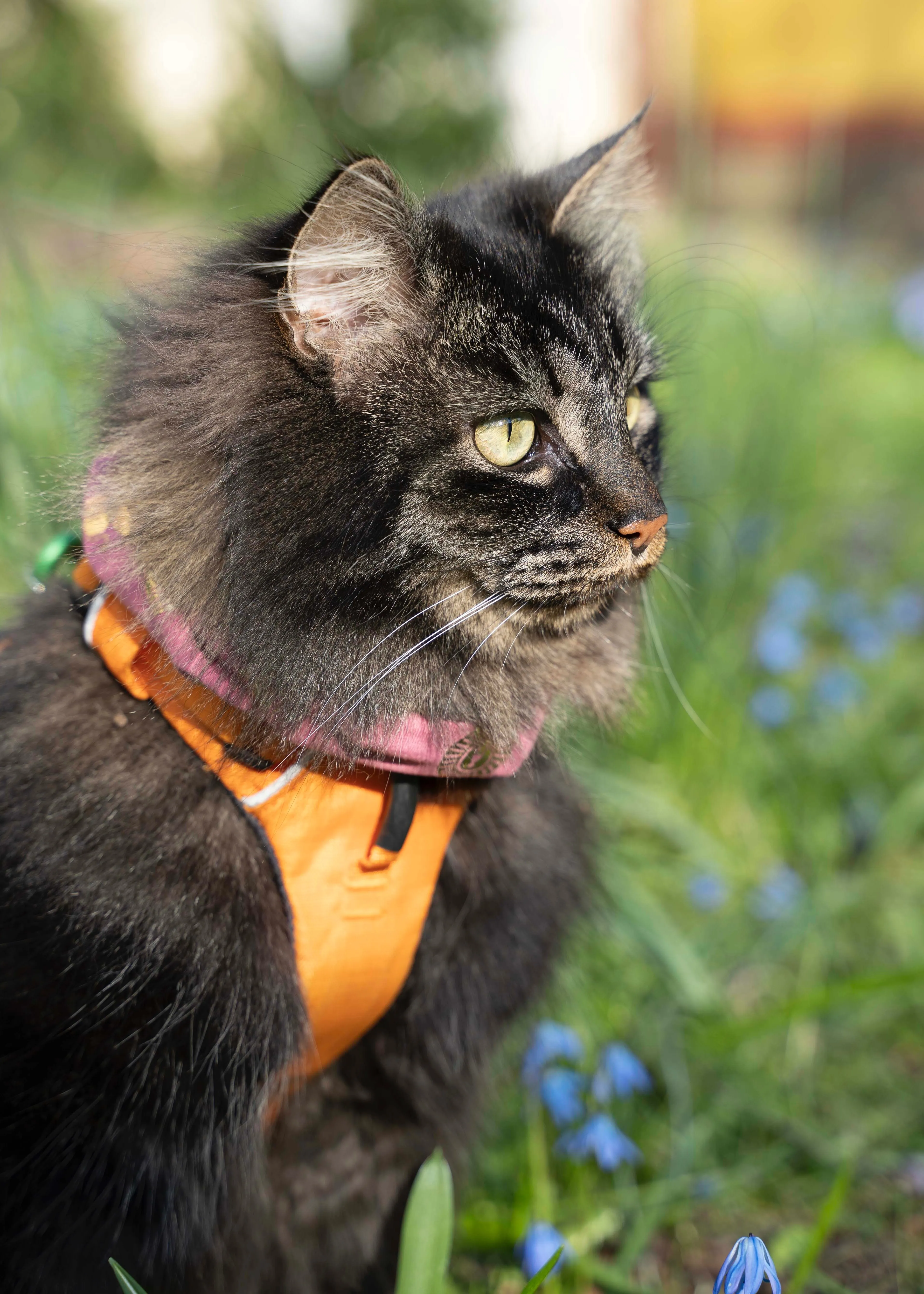 Pink Roar pet scarf