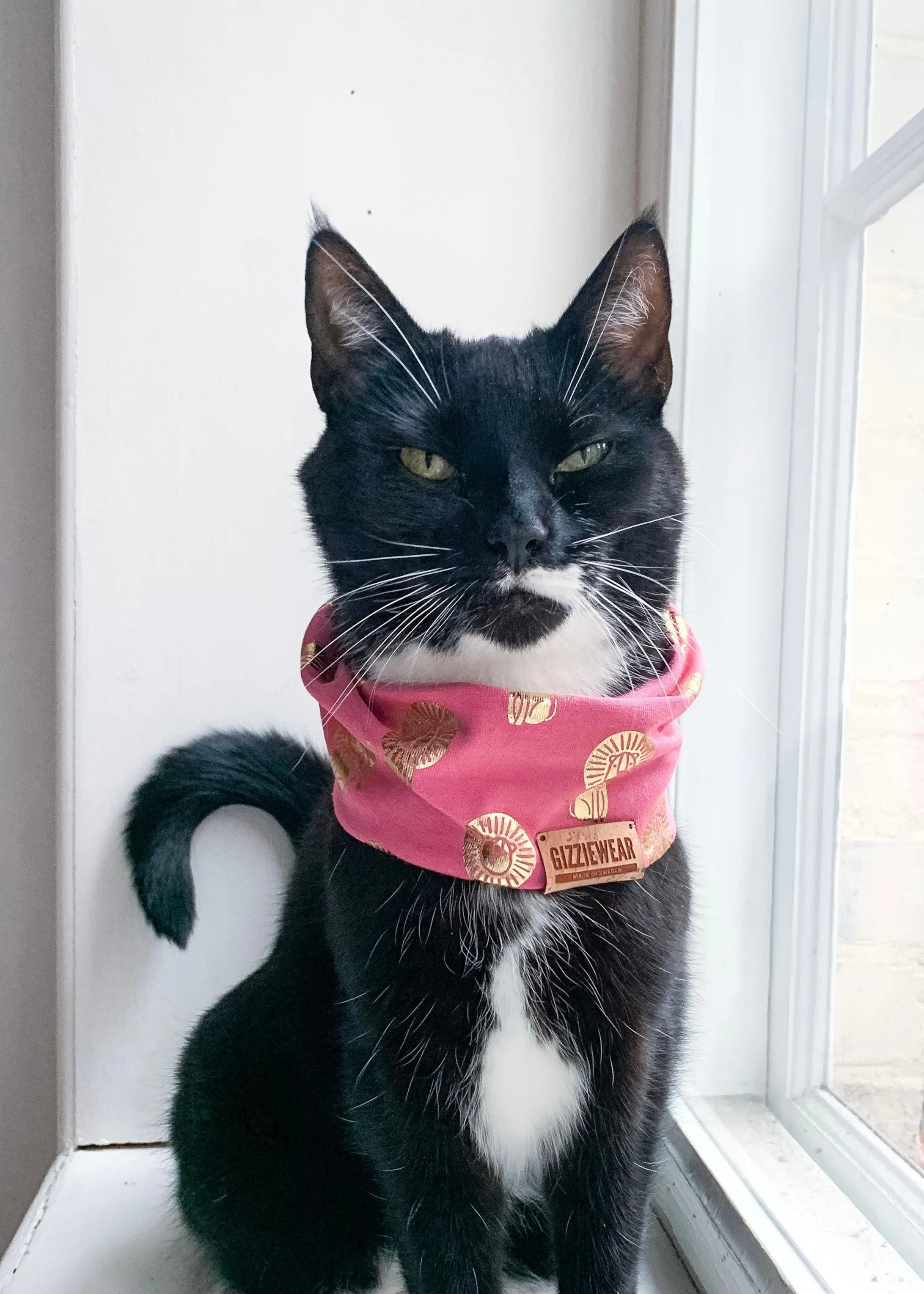 Pink Roar pet scarf