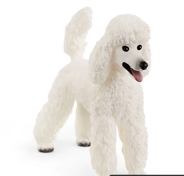 Poodle